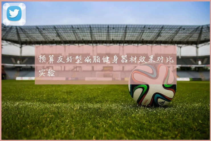 预算友好型减脂健身器材效果对比实验