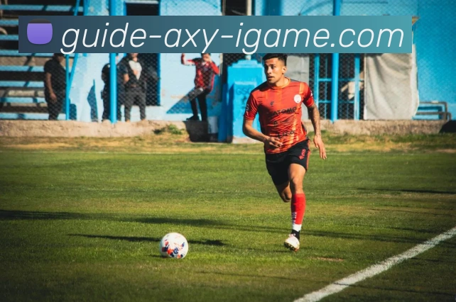 爱游戏平台生态图